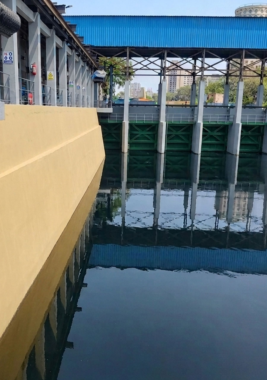 photo 1.jpg (1)